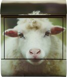 Die Briefkastenfirma Schaap brievenbus Die Briefkastenfirma Schaap brievenbus